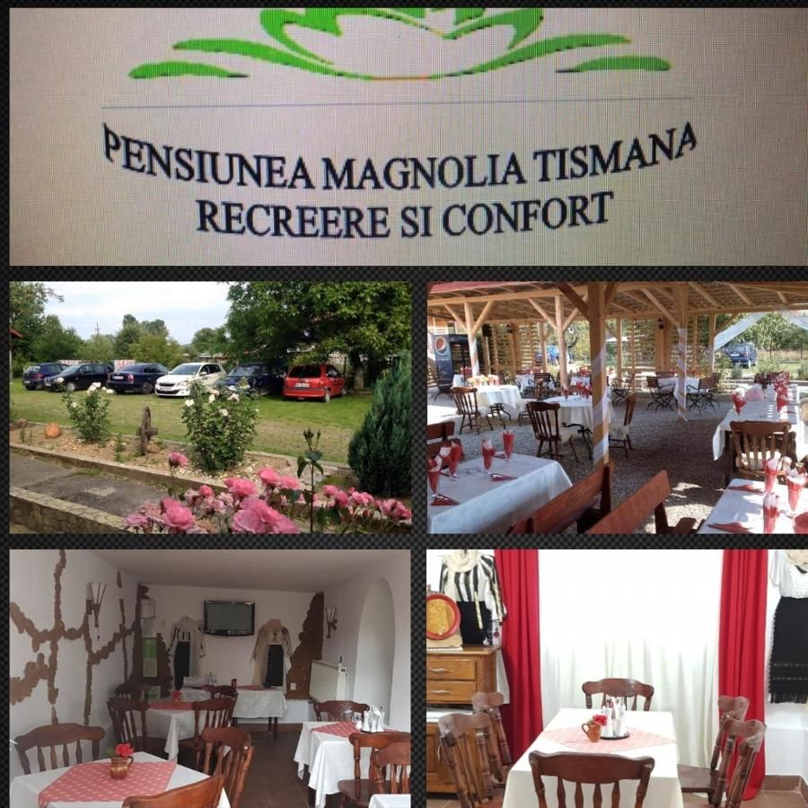 Гостевой дом Pensiunea Magnolia din Tismana Тисмана-15